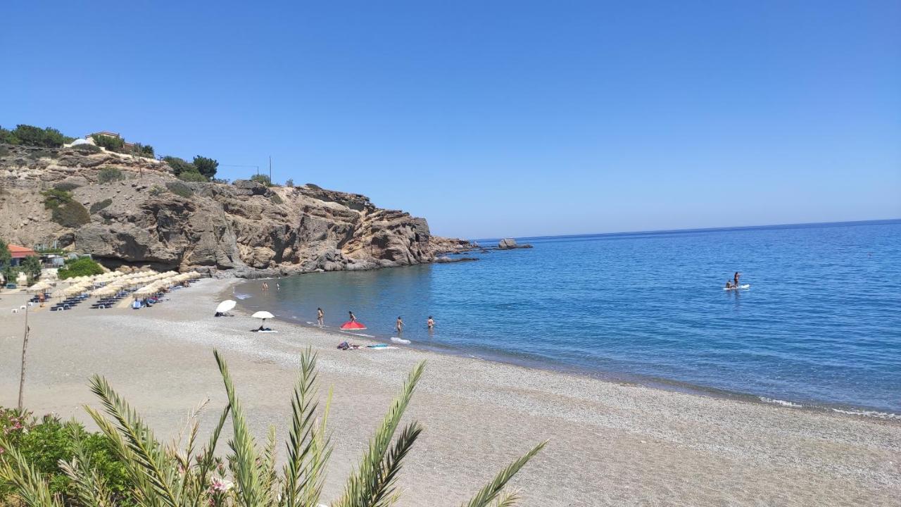 Blue Paradise