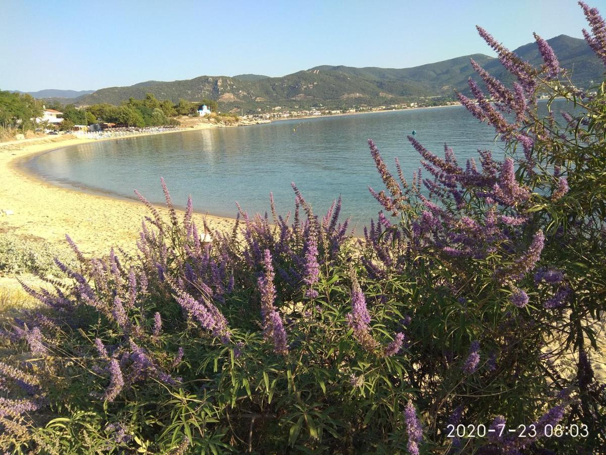 Holiday home Alexandra