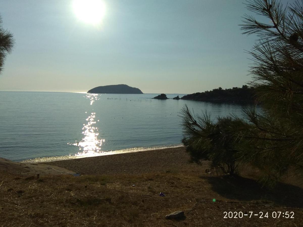 Holiday home Alexandra *