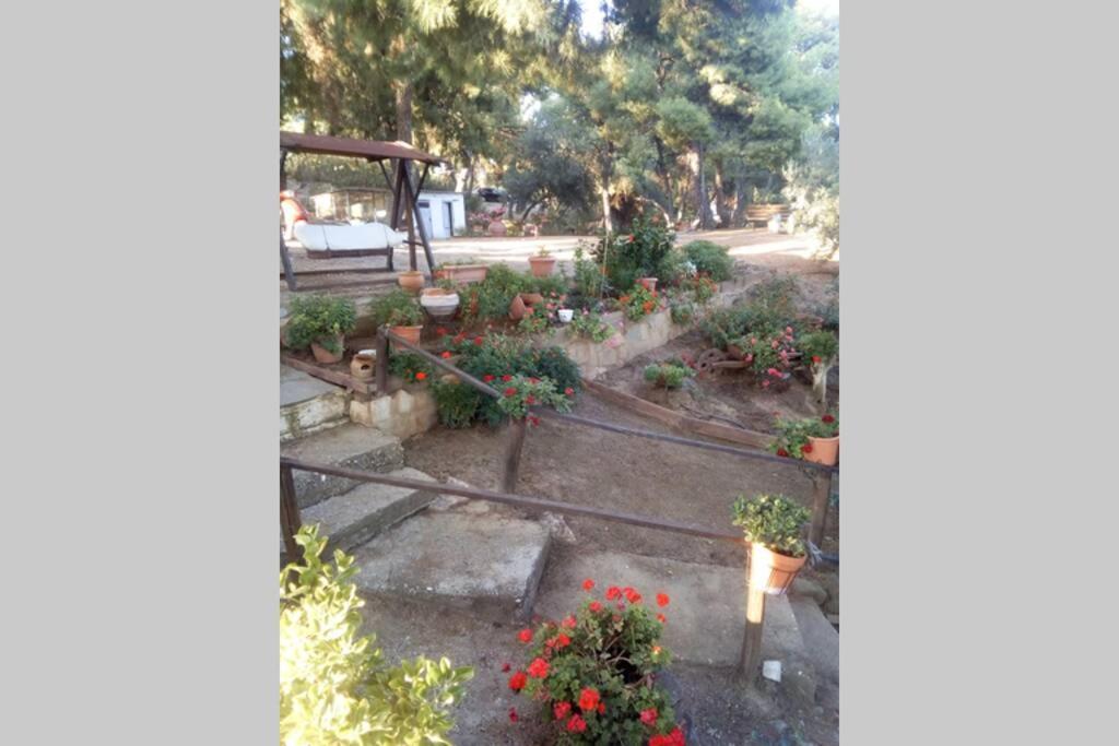 Grandmas Paradise Psakoudia