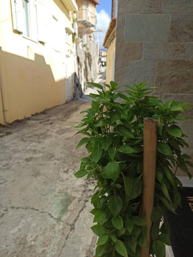 μπαλκόνι του αιγαίου Father's House In Apartment *