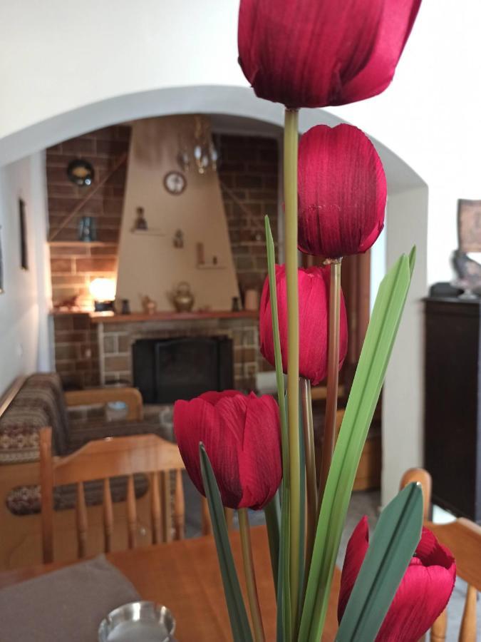 Apartment μπαλκόνι του αιγαίου Father's House In Kymi