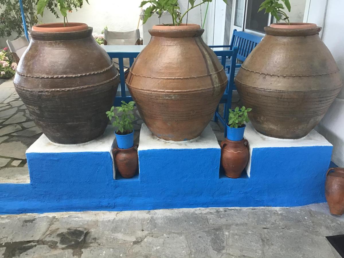 Maria Kamariotissa