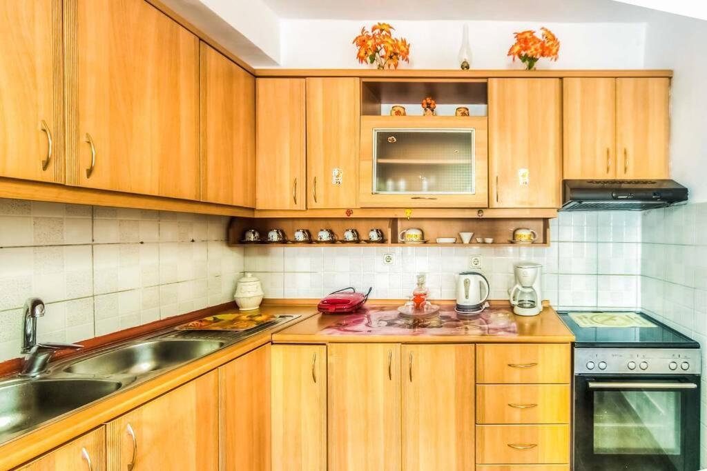 Elena Apartment Mesongi