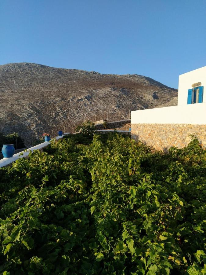 Cycladic In Rural Surrounding Amorgos