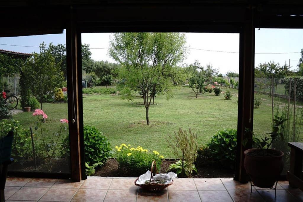 Agrampeli Holiday home *