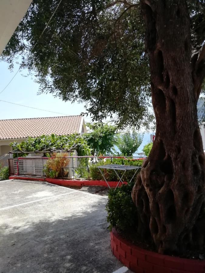 Apartment Dimitris Paleokastritsa