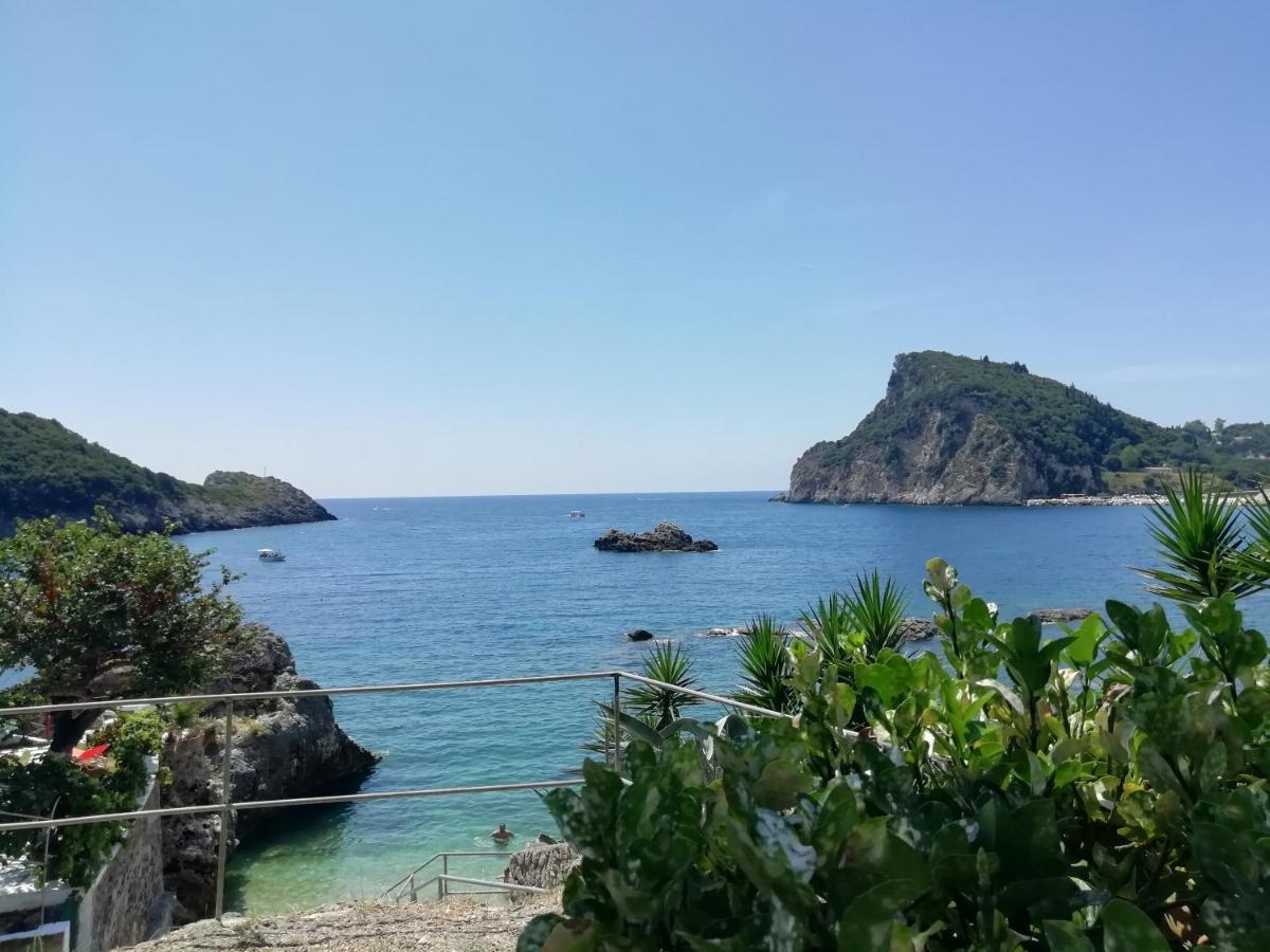 Dimitris *