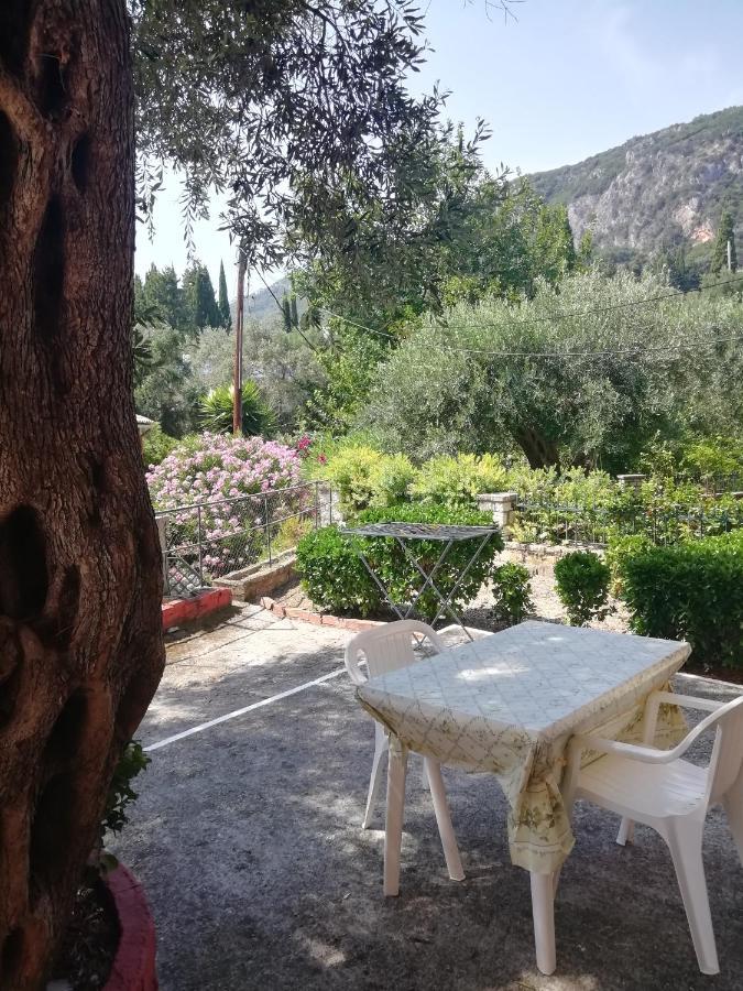 Apartment Dimitris Paleokastritsa