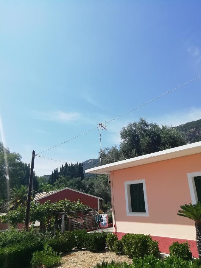 Apartment Dimitris
