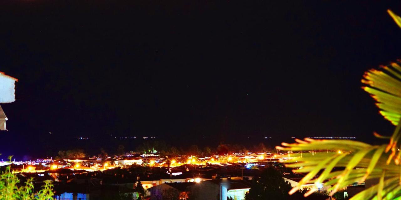 Pine & View *