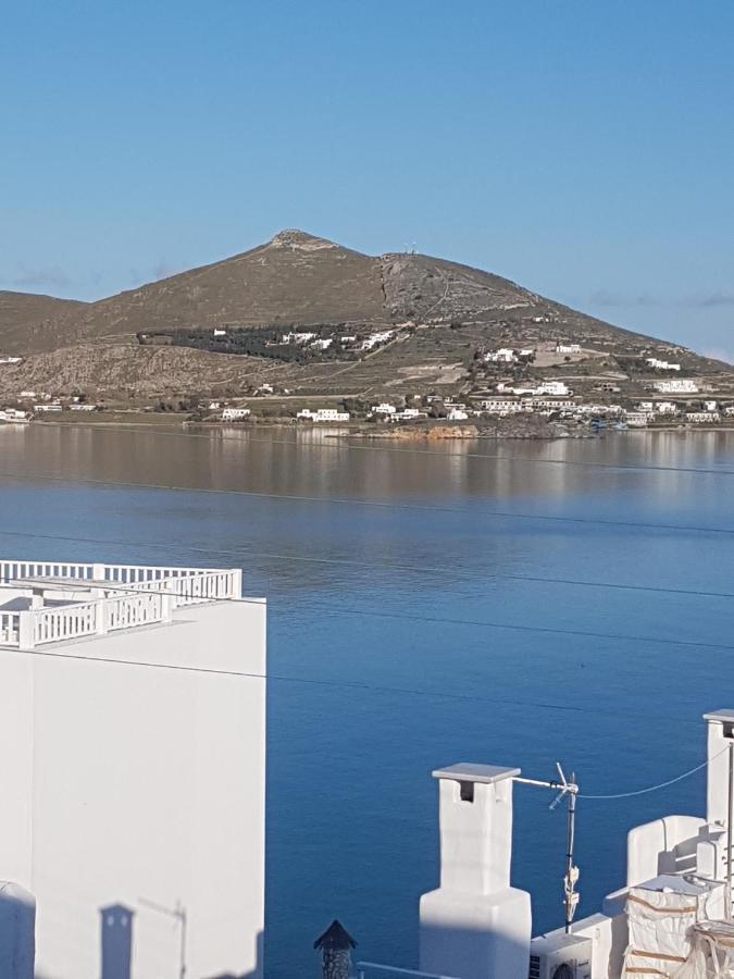 Flora In Paros *