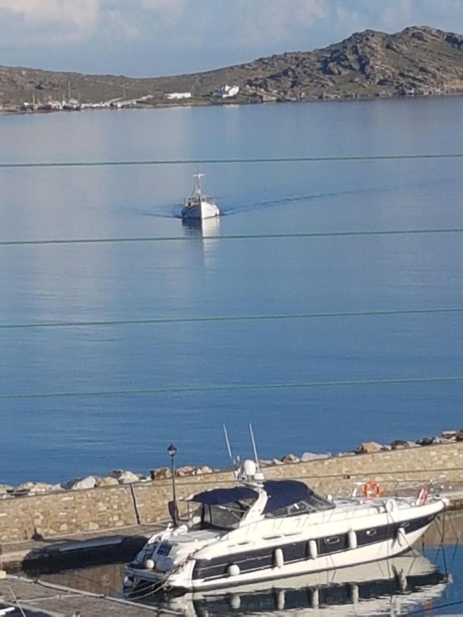 Flora In Paros