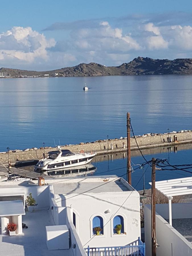 Flora In Paros *