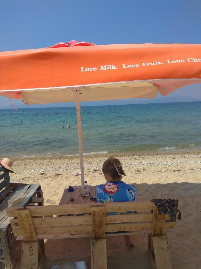 Holiday home Adam's House 2019