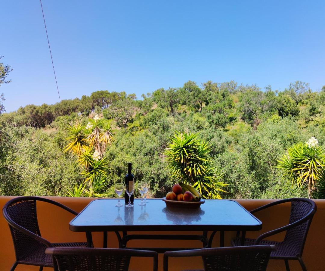Kostas-ne Corfu With Heated Salt Swimming Pool Villa *