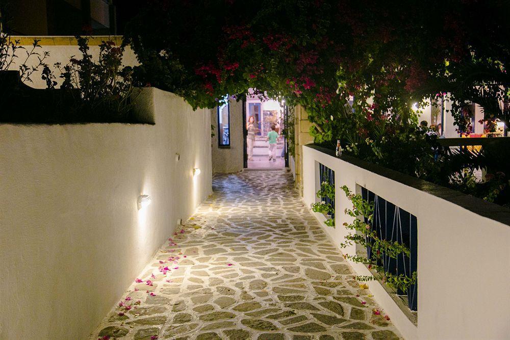 Ekaterini 3*