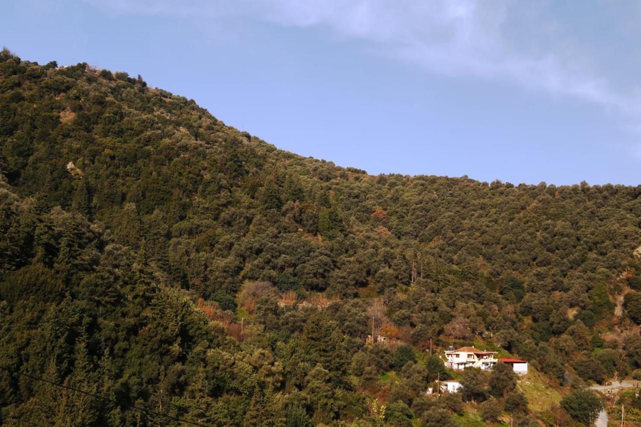 Holiday home Kleanthi's House Chania (Crete)