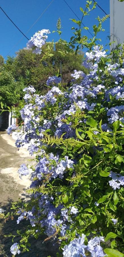 Nereides * Agios Gordios (Corfu)