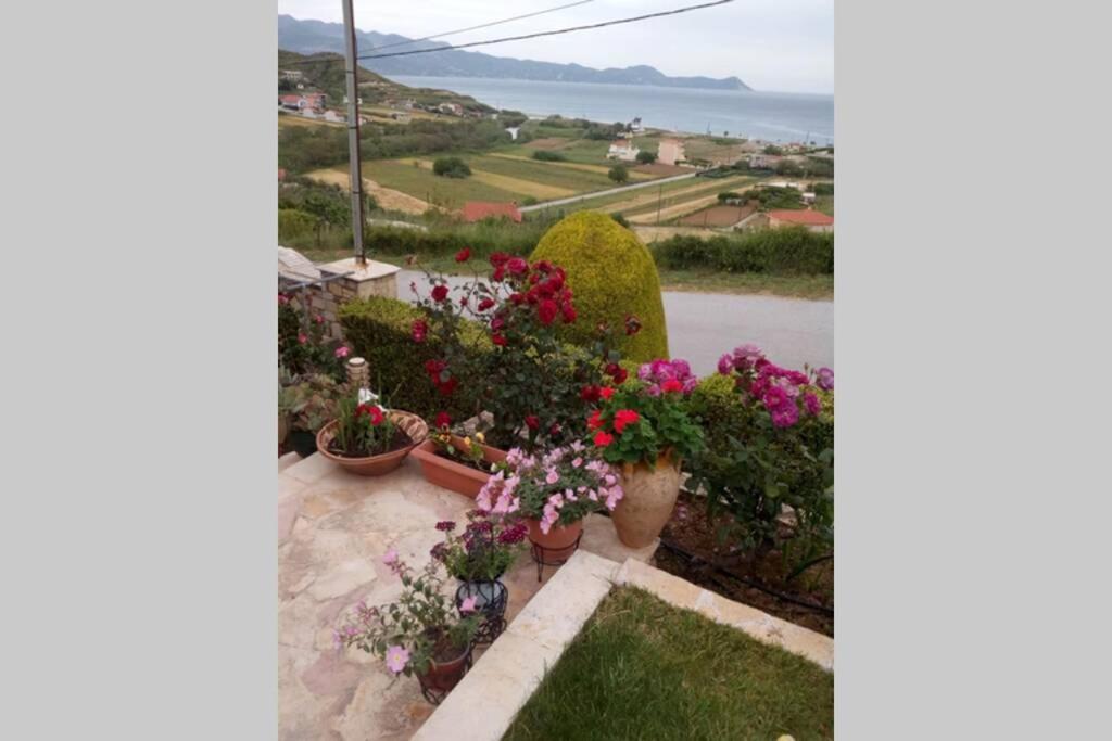 Apartment Roses-mourteri Mourteri