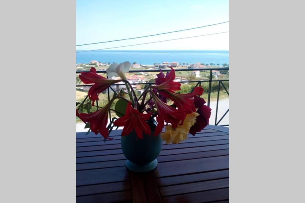 Apartment Roses-mourteri Mourteri