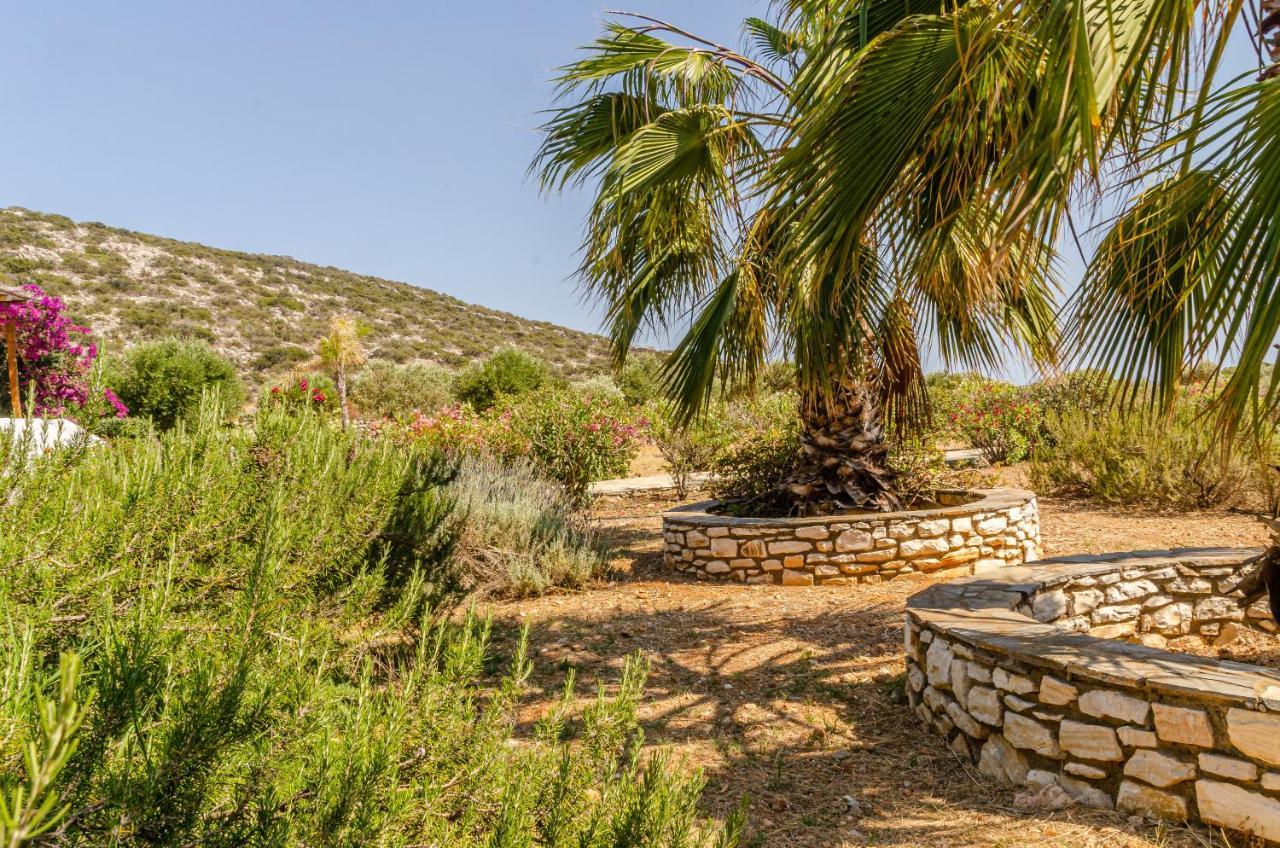 Villa Calmea Seafront - Secluded Parikia (Paros)