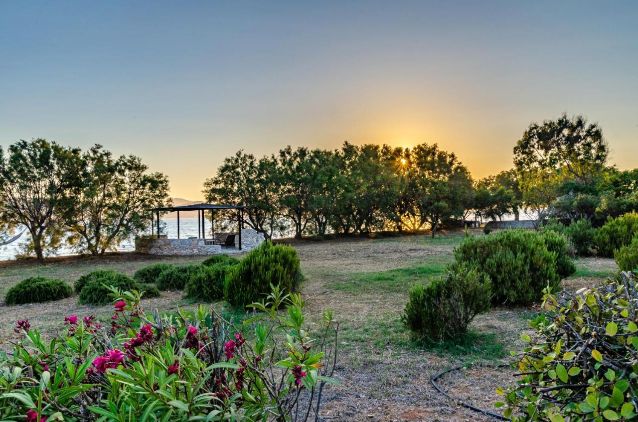 Calmea Seafront - Secluded Villa Parikia (Paros)