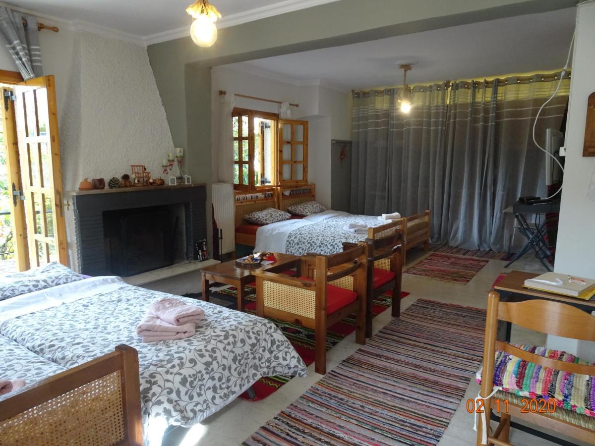 Vitina's Little House Guest house Vytina