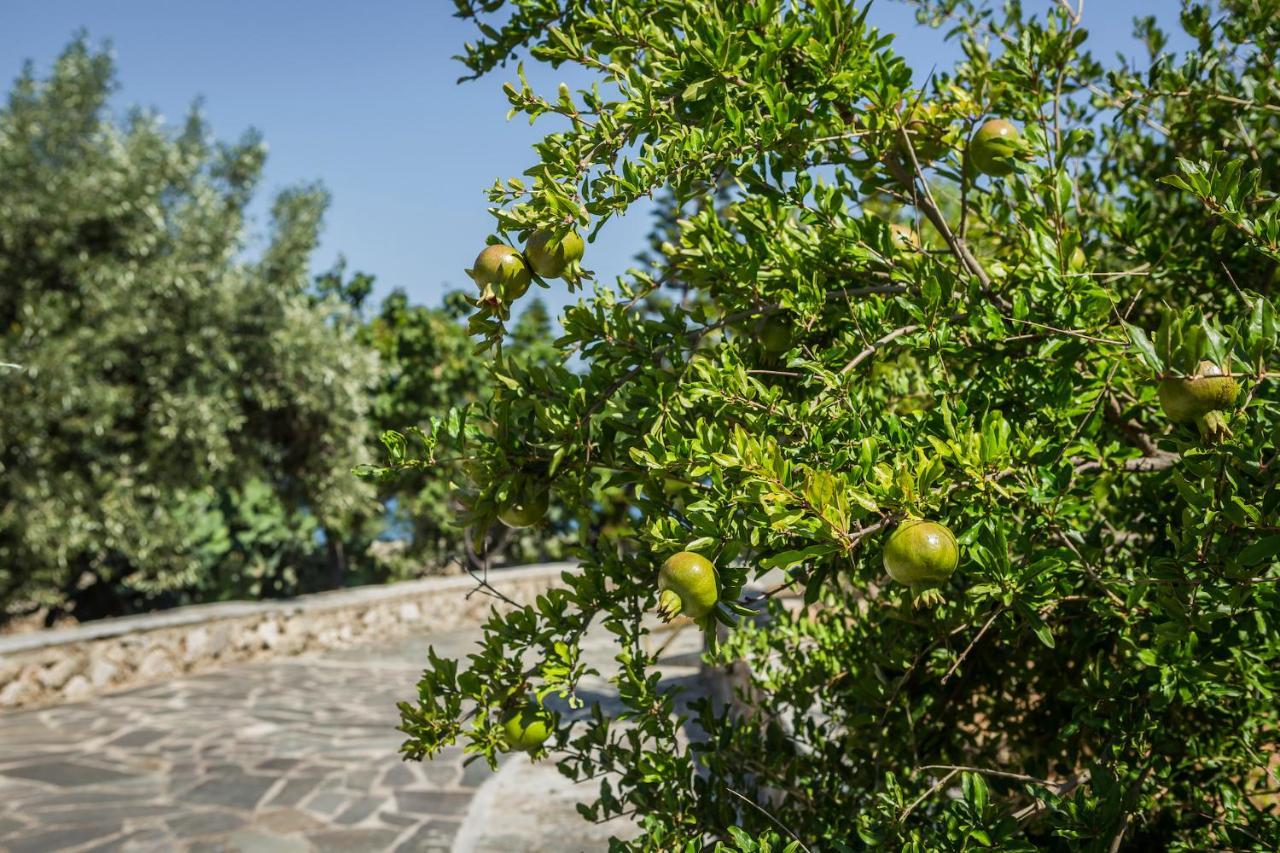 Holiday home Ploes Luxury Pesadha
