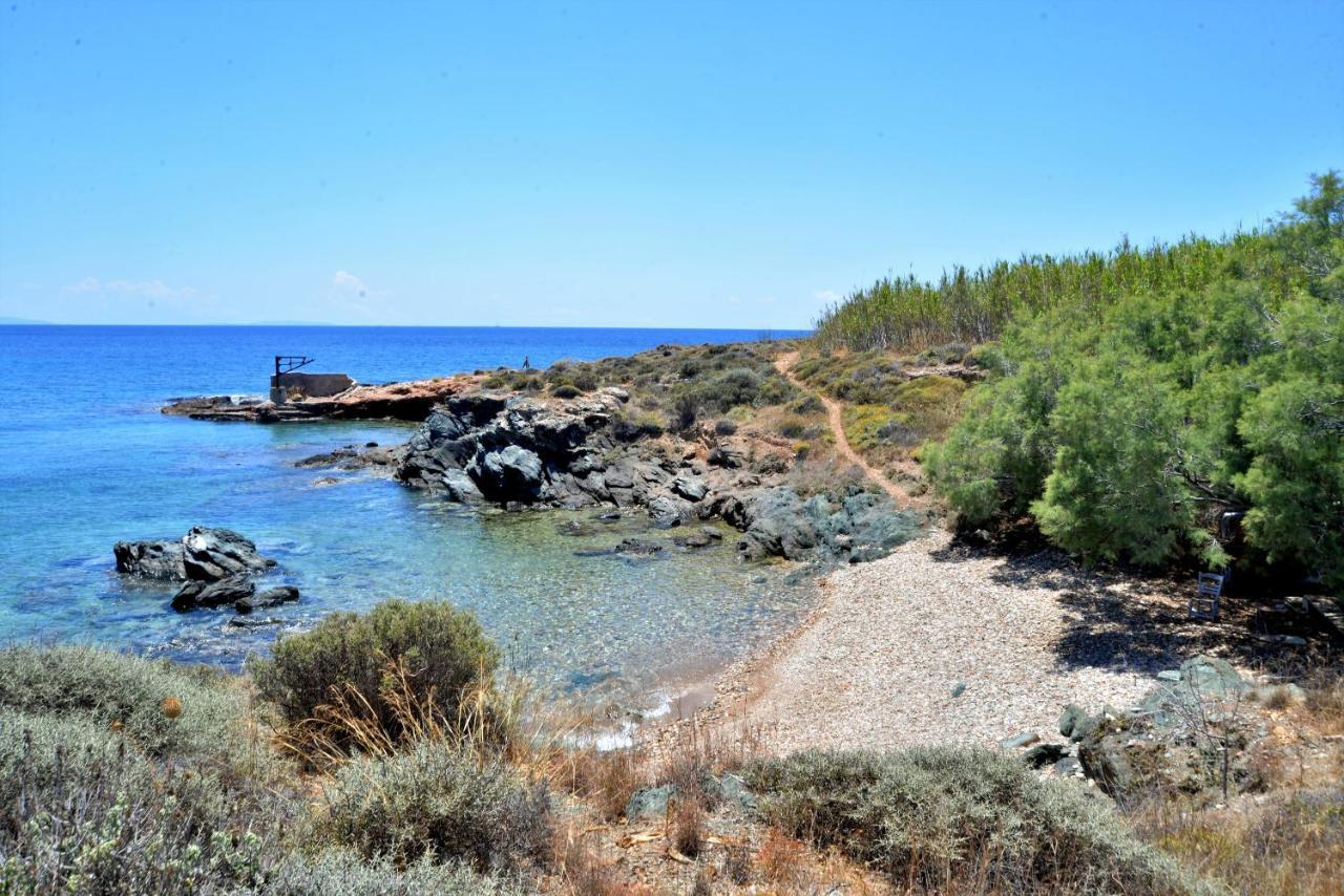 Aloe Mare Holiday home