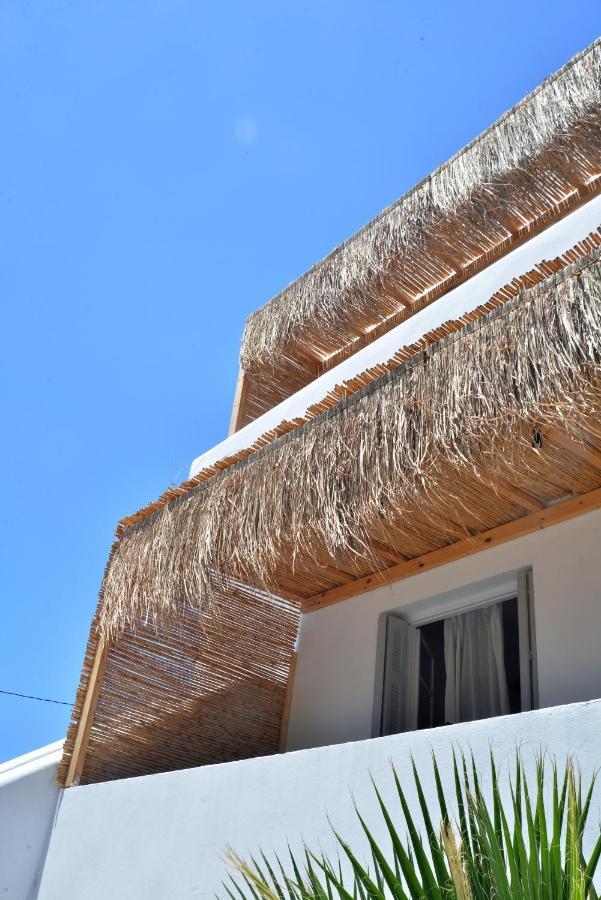 Aloe Mare Holiday home *