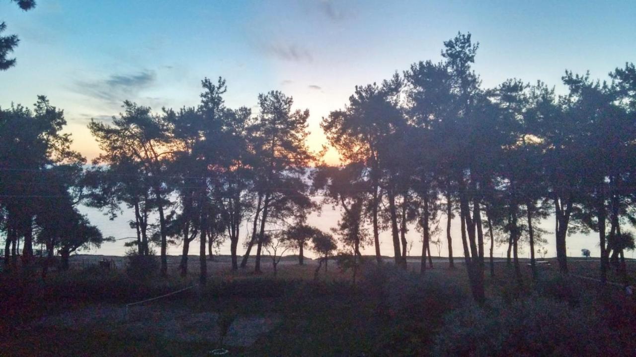 Nisteri Seaside Apartment Limenas (Thasos)