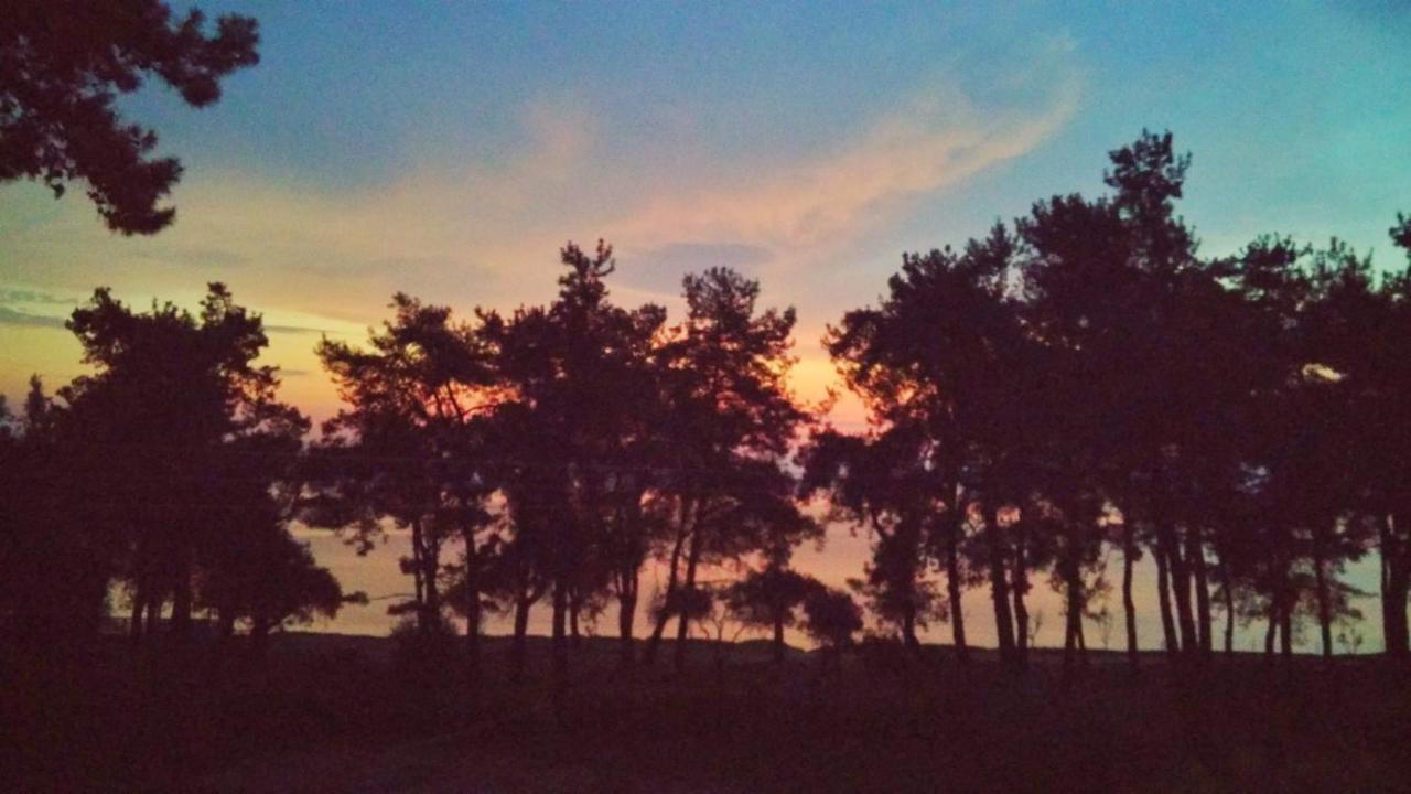 Nisteri Seaside