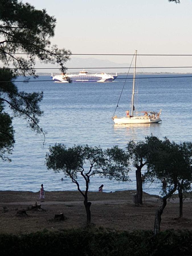 Nisteri Seaside