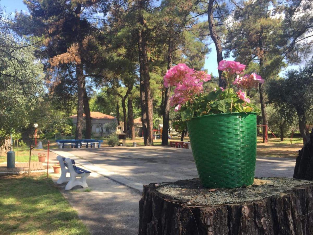 Nisteri Seaside Apartment Limenas (Thasos)