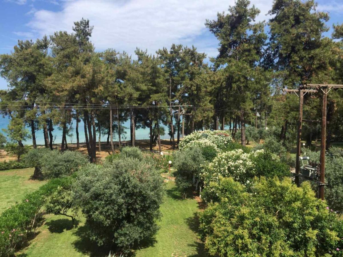 Nisteri Seaside * Limenas (Thasos)