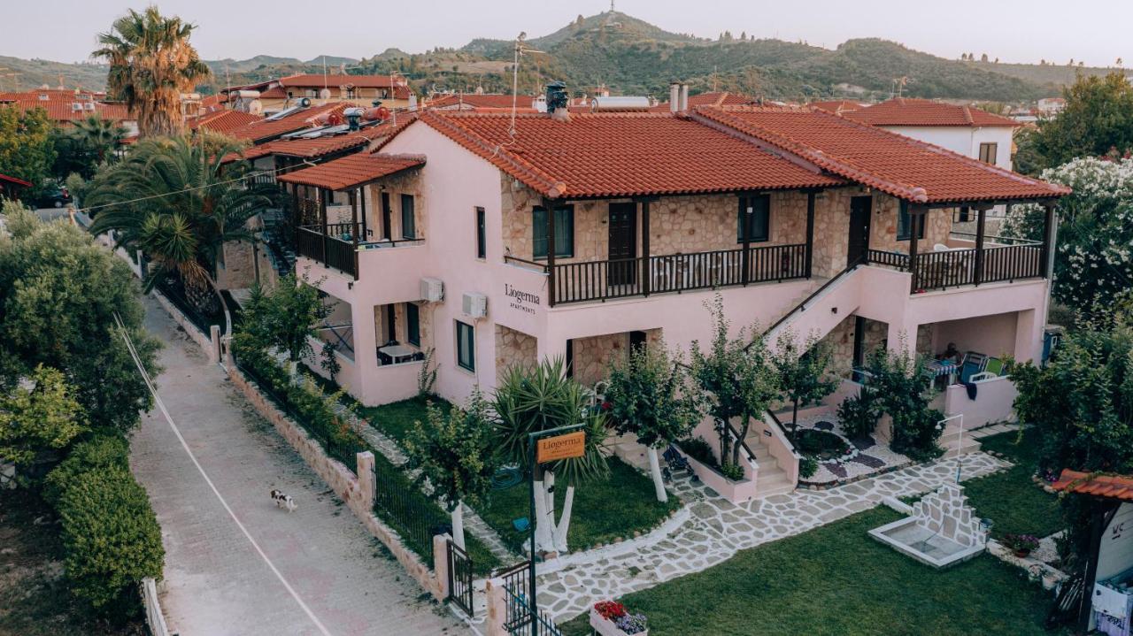 Liogerma
