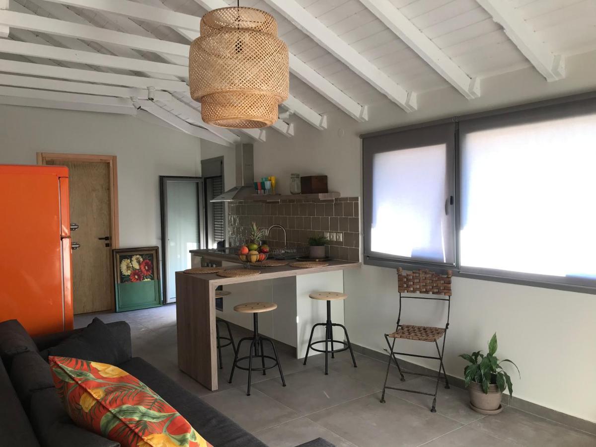 Toni's Apartment