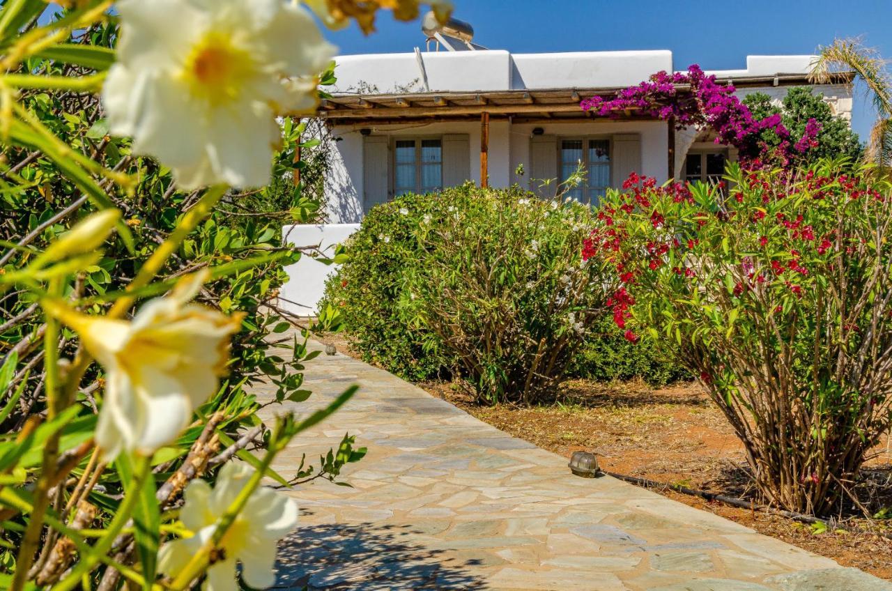 Villa Calmea Seafront - Secluded *