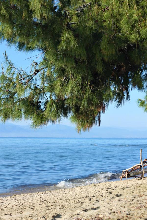 Villa Olive Dream Thassos Luxury Skala Rachoni (Thasos)