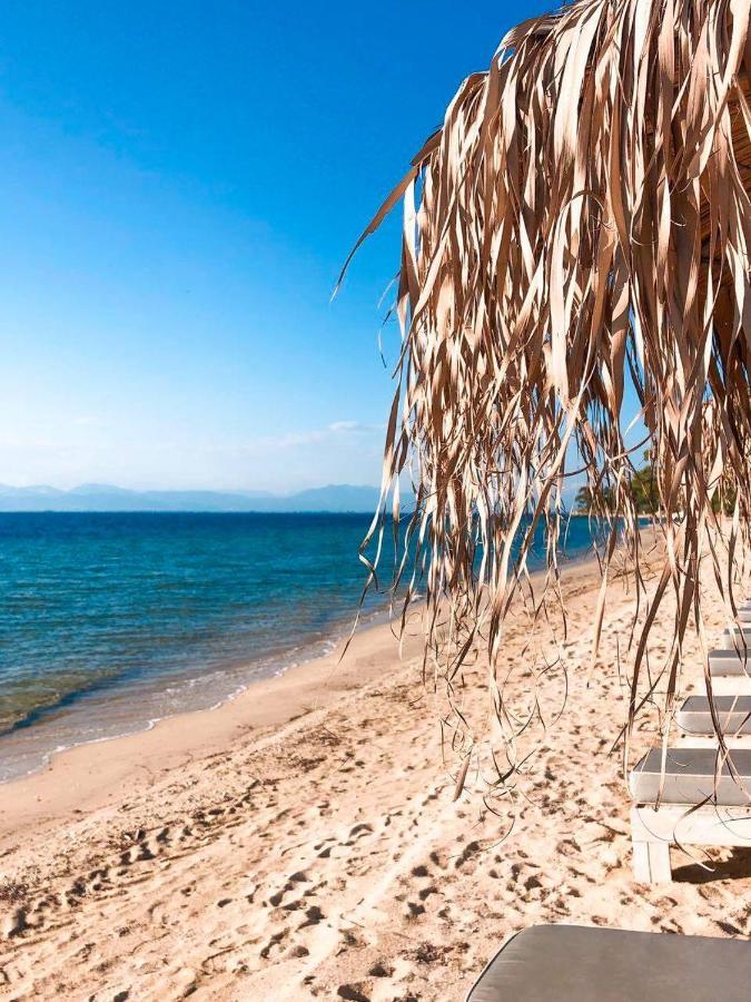 Olive Dream Thassos Luxury * Skala Rachoni (Thasos)