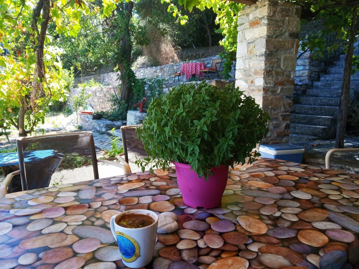Pilion-unique House At The Aegean Sea Keramidhion