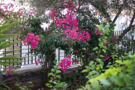 Glyfada Riviera Apartment *