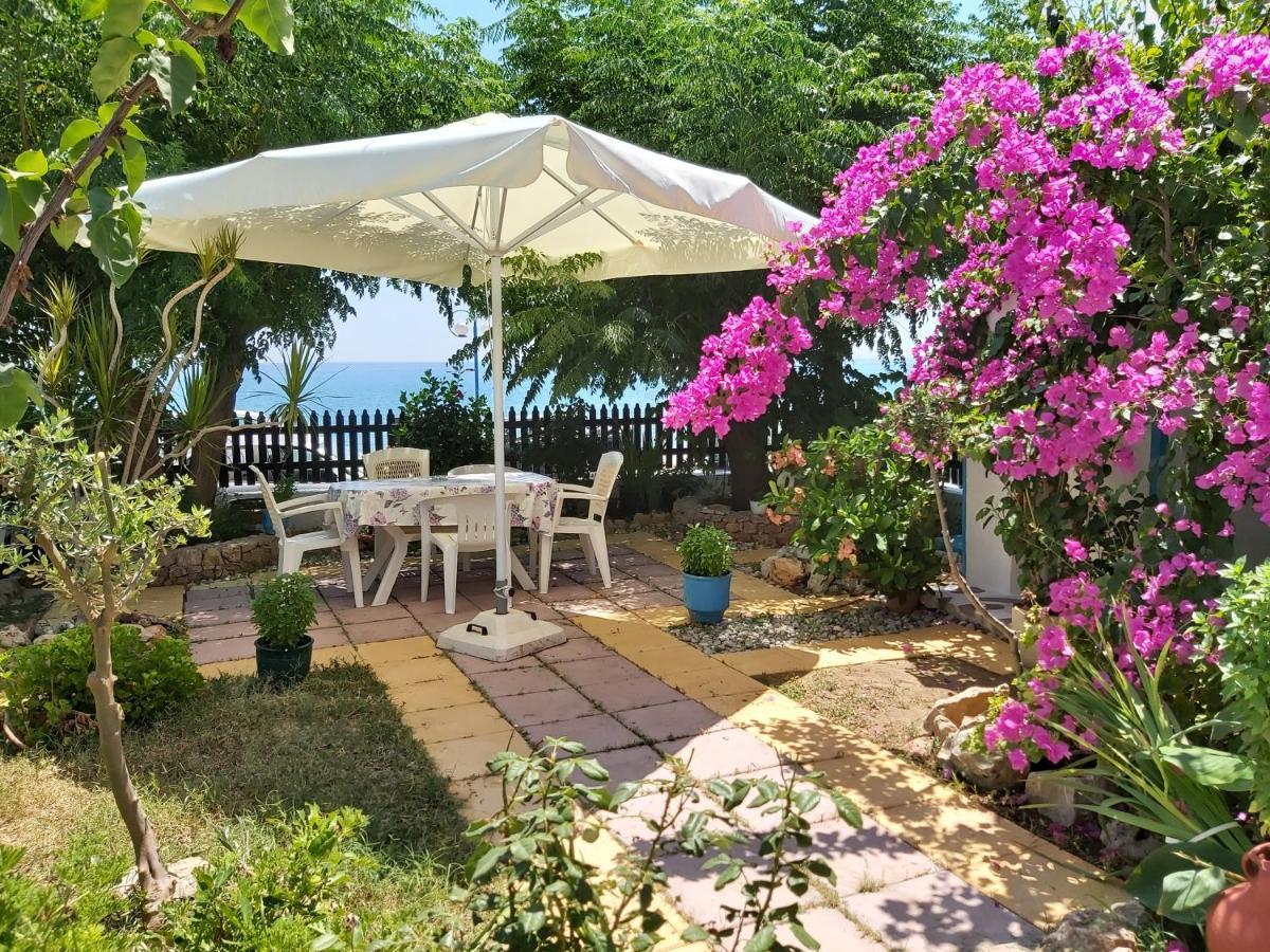Stegnailion Apartment Archangelos (Rhodes)