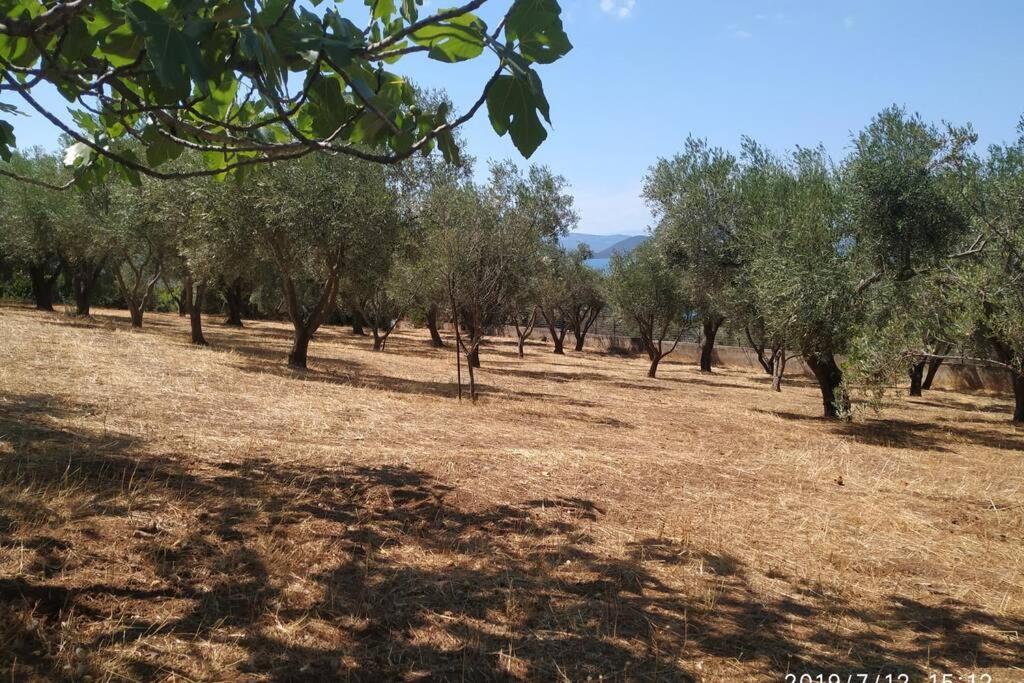 Holiday home Secluded House With Great View And Private