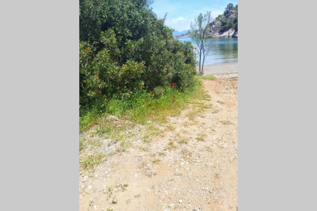 Secluded House With Great View And Private Theologos (Phthiotis)
