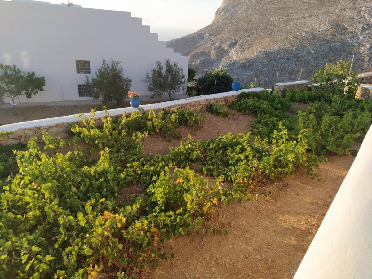 Holiday home Cycladic In Rural Surrounding Amorgos