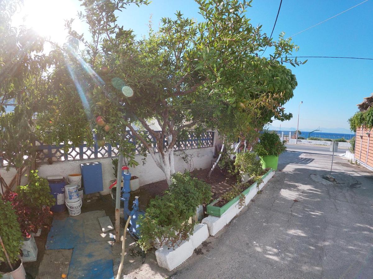 Kos Family House