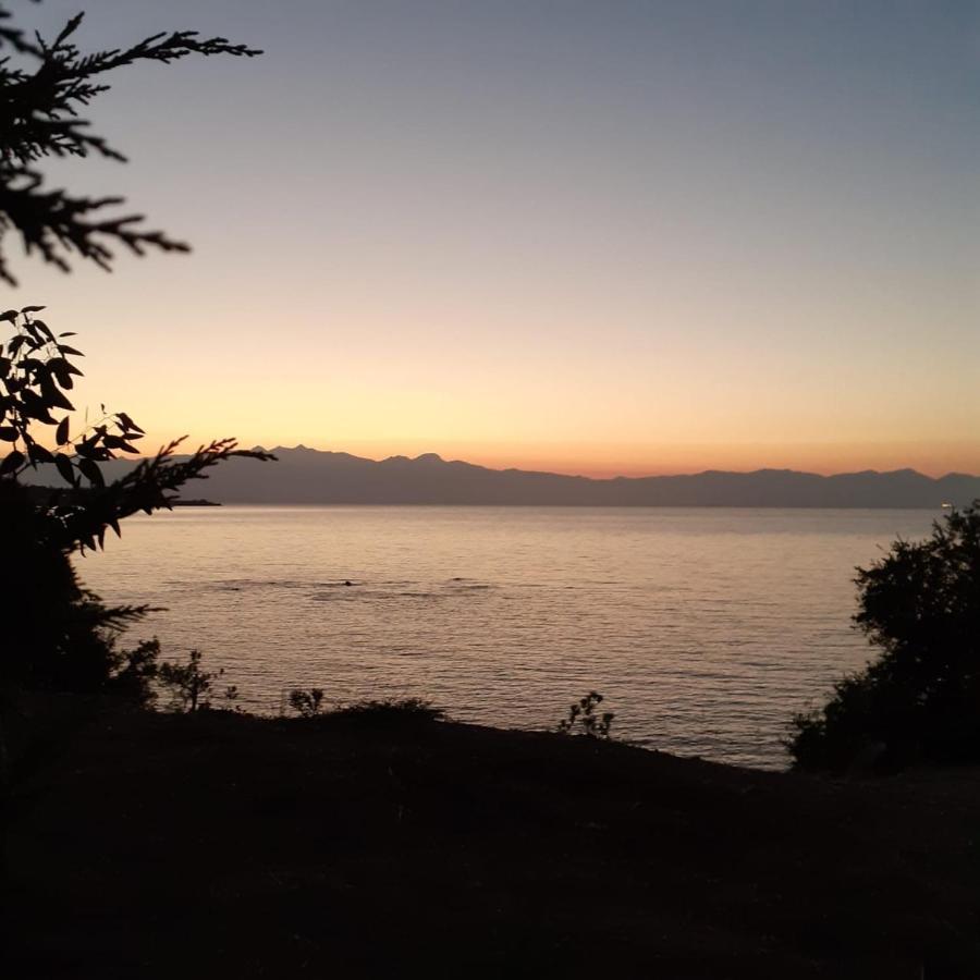 Holiday home Seafront With Direct Access *