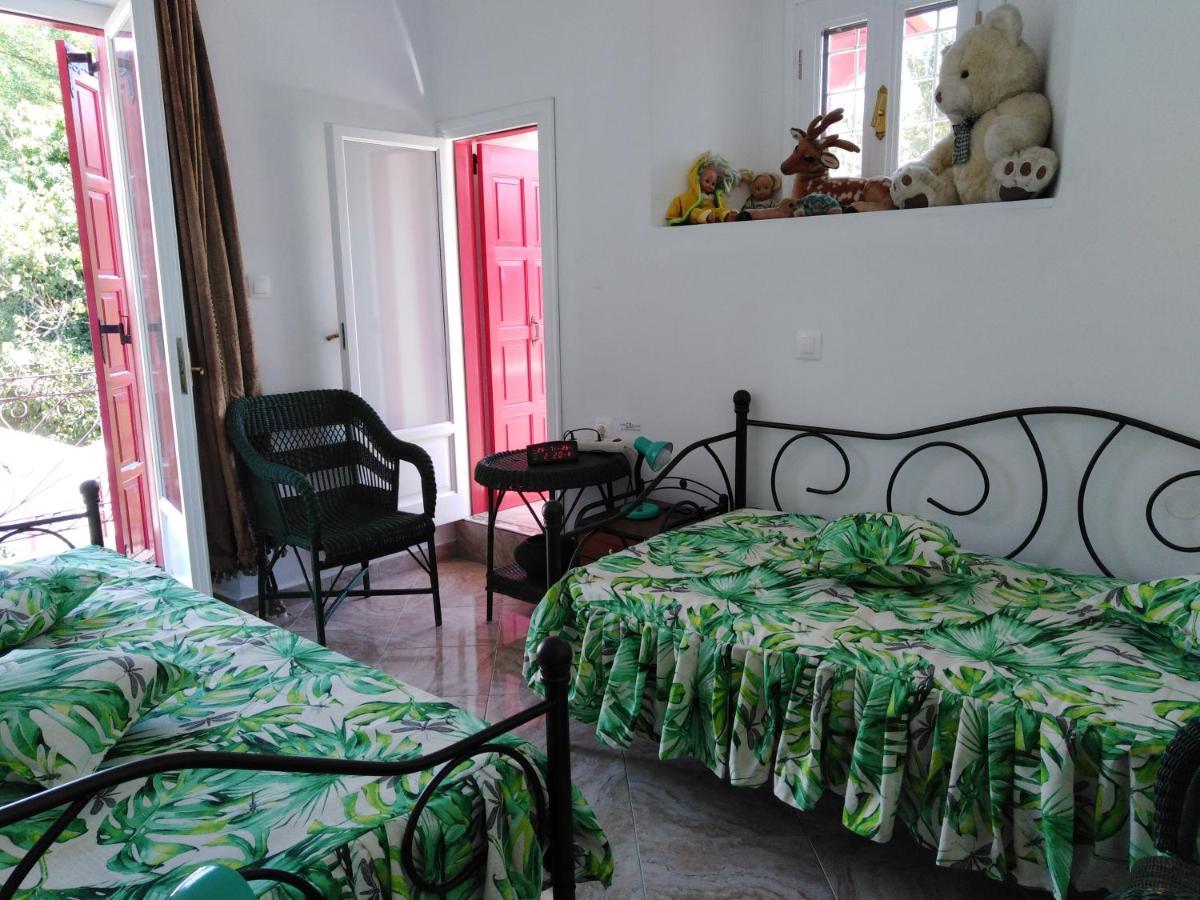 Apartment Epavli Sofia' S Two In Horto, 30m From The Sea Chorto